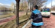 Vektörle mücadele devam ediyor
