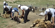 YAYLADAN ERKOÇ’A DAVET VAR