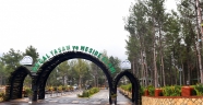 YEŞİLTEPE KIŞA HAZIR