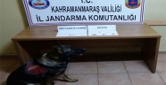 YOL KONTROLÜNDE EROİN ve METAMFETAMİN ELE GEÇİRİLDİ