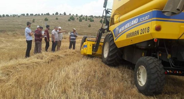 TARIM VE ORMAN MÜDÜRLÜĞÜ HABERİ