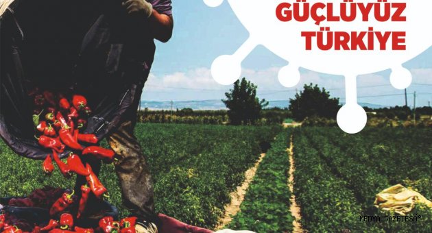 Tarım ve Orman Müdürlüğü Haberleri