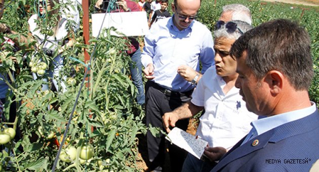 TARIMSAL YENİLİKLERİN YAYGINLAŞTIRILMASI YAYIM PROJELERİ DEVAM EDİYOR