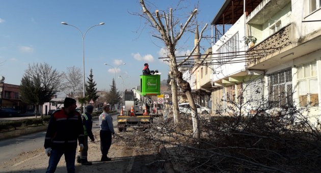 Türkoğlu’nda Bahar Hazırlıkları…