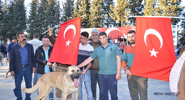 TÜRKOĞLU'NDAN HOLLANDA'YA TEPKİ