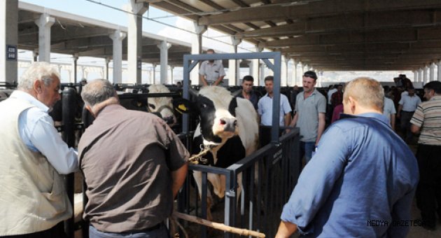 VATANDAŞLAR CANLI HAYVAN BORSASI’NDAN MEMNUN