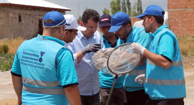 VEKTÖRLE MÜCADELE EĞİTİMİ VERİLDİI