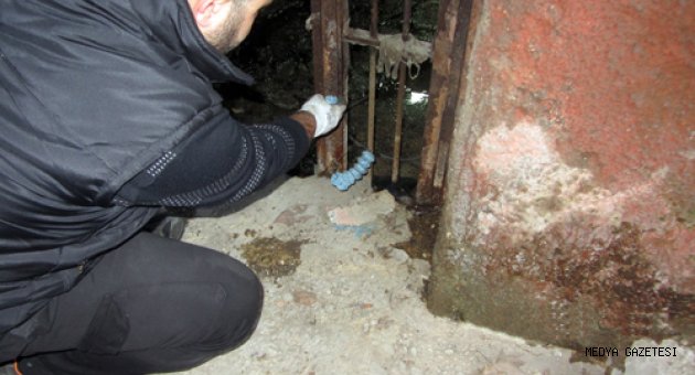 VEKTÖRLERLE BULAŞAN HASTALIKLARA KARŞI ORTAK MÜCADELE