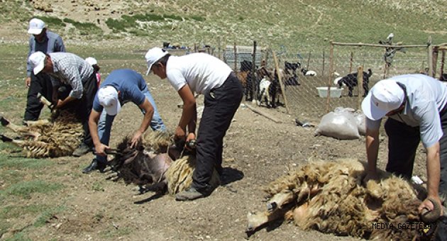YAYLADAN ERKOÇ’A DAVET VAR